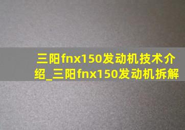 三阳fnx150发动机技术介绍_三阳fnx150发动机拆解