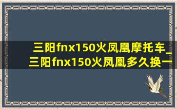 三阳fnx150火凤凰摩托车_三阳fnx150火凤凰多久换一次机油