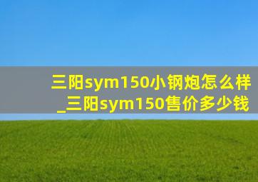 三阳sym150小钢炮怎么样_三阳sym150售价多少钱