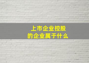 上市企业控股的企业属于什么