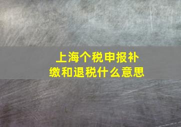 上海个税申报补缴和退税什么意思