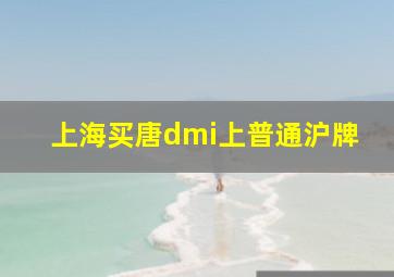 上海买唐dmi上普通沪牌