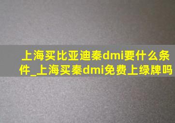 上海买比亚迪秦dmi要什么条件_上海买秦dmi免费上绿牌吗