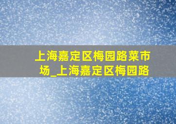 上海嘉定区梅园路菜市场_上海嘉定区梅园路