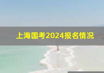 上海国考2024报名情况