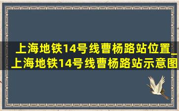 上海地铁14号线曹杨路站位置_上海地铁14号线曹杨路站示意图