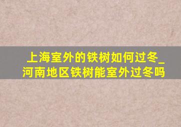 上海室外的铁树如何过冬_河南地区铁树能室外过冬吗