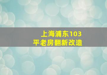 上海浦东103平老房翻新改造