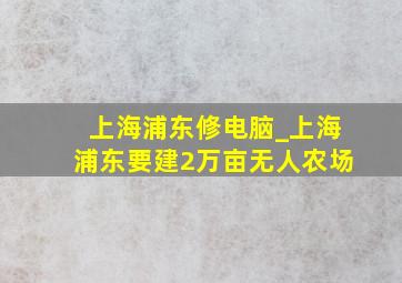 上海浦东修电脑_上海浦东要建2万亩无人农场