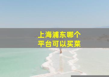 上海浦东哪个平台可以买菜