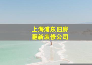 上海浦东旧房翻新装修公司