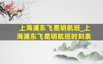 上海浦东飞昆明航班_上海浦东飞昆明航班时刻表