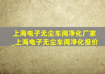 上海电子无尘车间净化厂家_上海电子无尘车间净化报价