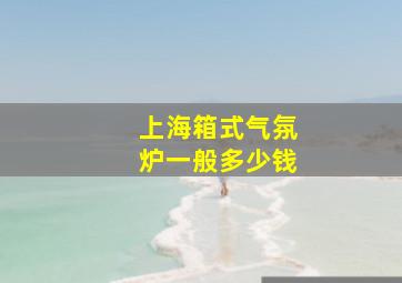 上海箱式气氛炉一般多少钱