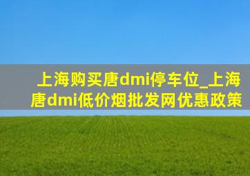 上海购买唐dmi停车位_上海唐dmi(低价烟批发网)优惠政策