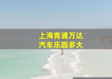 上海青浦万达汽车乐园多大