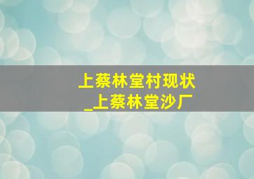 上蔡林堂村现状_上蔡林堂沙厂