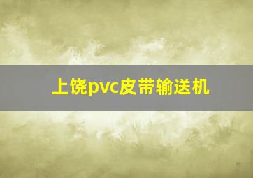 上饶pvc皮带输送机