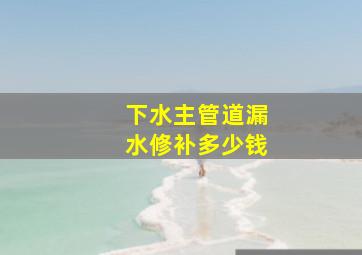 下水主管道漏水修补多少钱