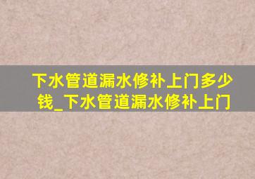 下水管道漏水修补上门多少钱_下水管道漏水修补上门