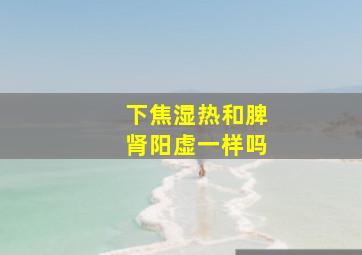 下焦湿热和脾肾阳虚一样吗