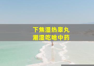 下焦湿热睾丸潮湿吃啥中药