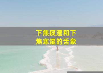 下焦痰湿和下焦寒湿的舌象