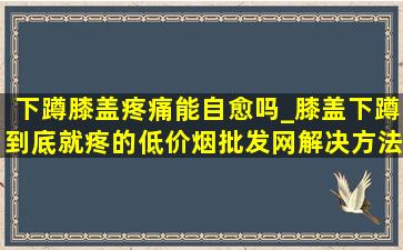 下蹲膝盖疼痛能自愈吗_膝盖下蹲到底就疼的(低价烟批发网)解决方法