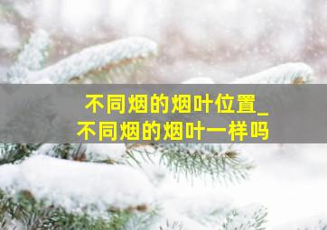 不同烟的烟叶位置_不同烟的烟叶一样吗