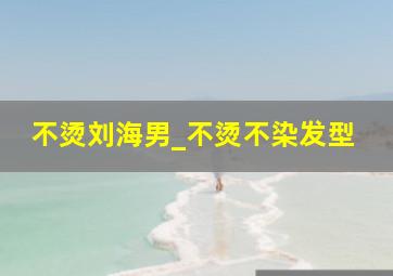 不烫刘海男_不烫不染发型