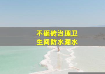 不砸砖治理卫生间防水漏水