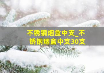 不锈钢烟盒中支_不锈钢烟盒中支30支