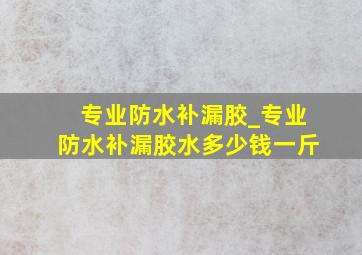 专业防水补漏胶_专业防水补漏胶水多少钱一斤