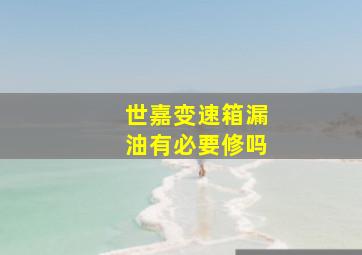 世嘉变速箱漏油有必要修吗