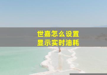 世嘉怎么设置显示实时油耗