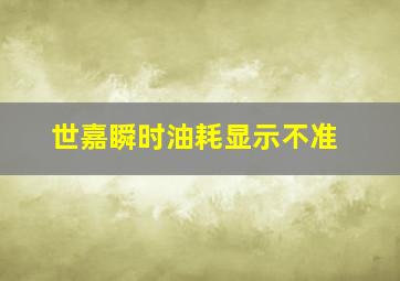 世嘉瞬时油耗显示不准