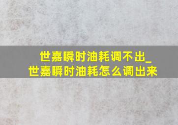 世嘉瞬时油耗调不出_世嘉瞬时油耗怎么调出来