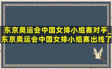 东京奥运会中国女排小组赛对手_东京奥运会中国女排小组赛出线了吗