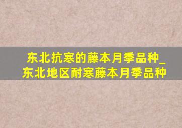 东北抗寒的藤本月季品种_东北地区耐寒藤本月季品种