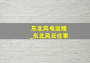 东北风电运维_东北风云往事