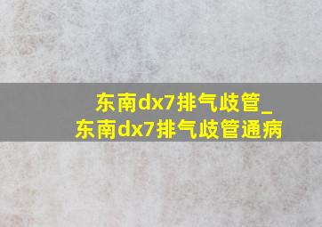 东南dx7排气歧管_东南dx7排气歧管通病