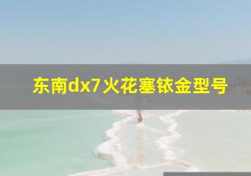 东南dx7火花塞铱金型号