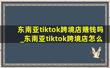 东南亚tiktok跨境店赚钱吗_东南亚tiktok跨境店怎么发货