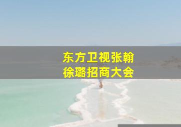 东方卫视张翰徐璐招商大会