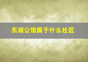 东湖公馆属于什么社区