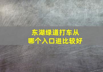 东湖绿道打车从哪个入口进比较好