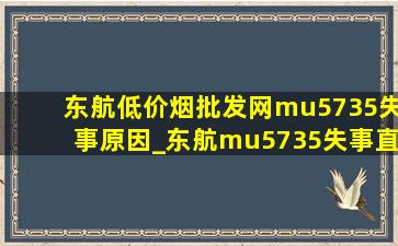 东航(低价烟批发网)mu5735失事原因_东航mu5735失事直播救援