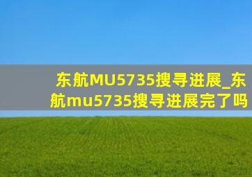 东航MU5735搜寻进展_东航mu5735搜寻进展完了吗