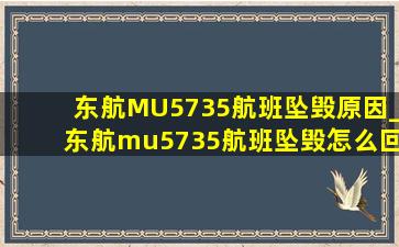 东航MU5735航班坠毁原因_东航mu5735航班坠毁怎么回事