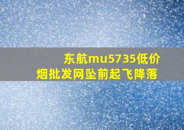 东航mu5735(低价烟批发网)坠前起飞降落